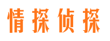 融安市私家侦探